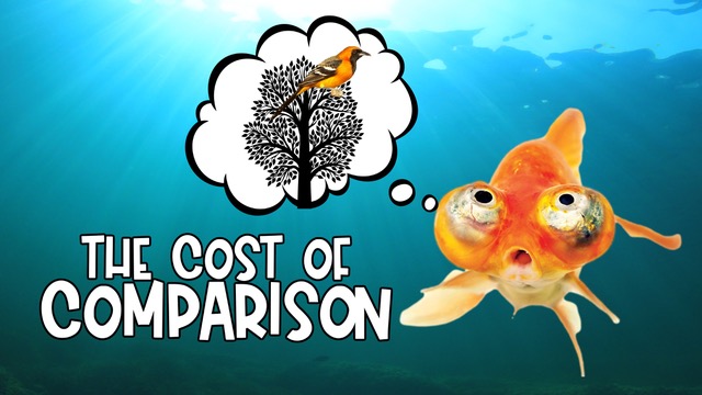 The Cost of Comparison